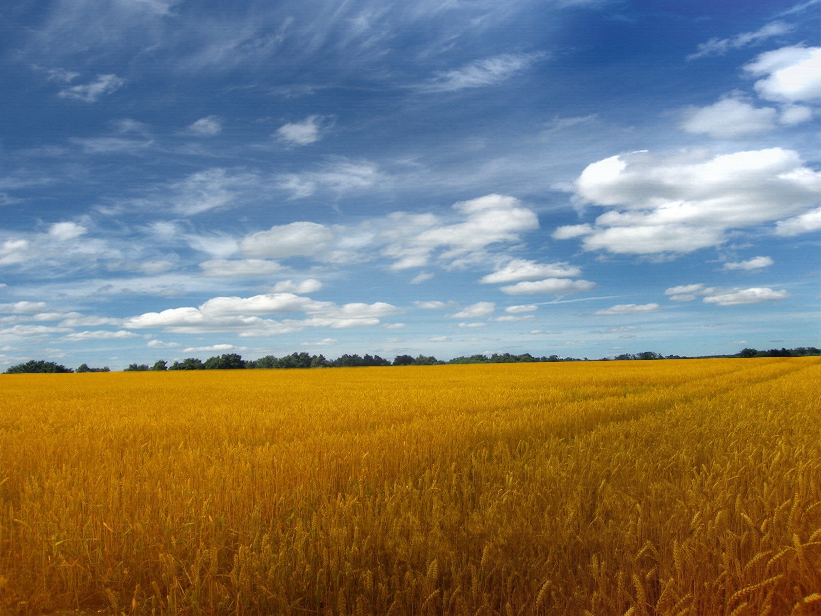 campo cielo nuvole