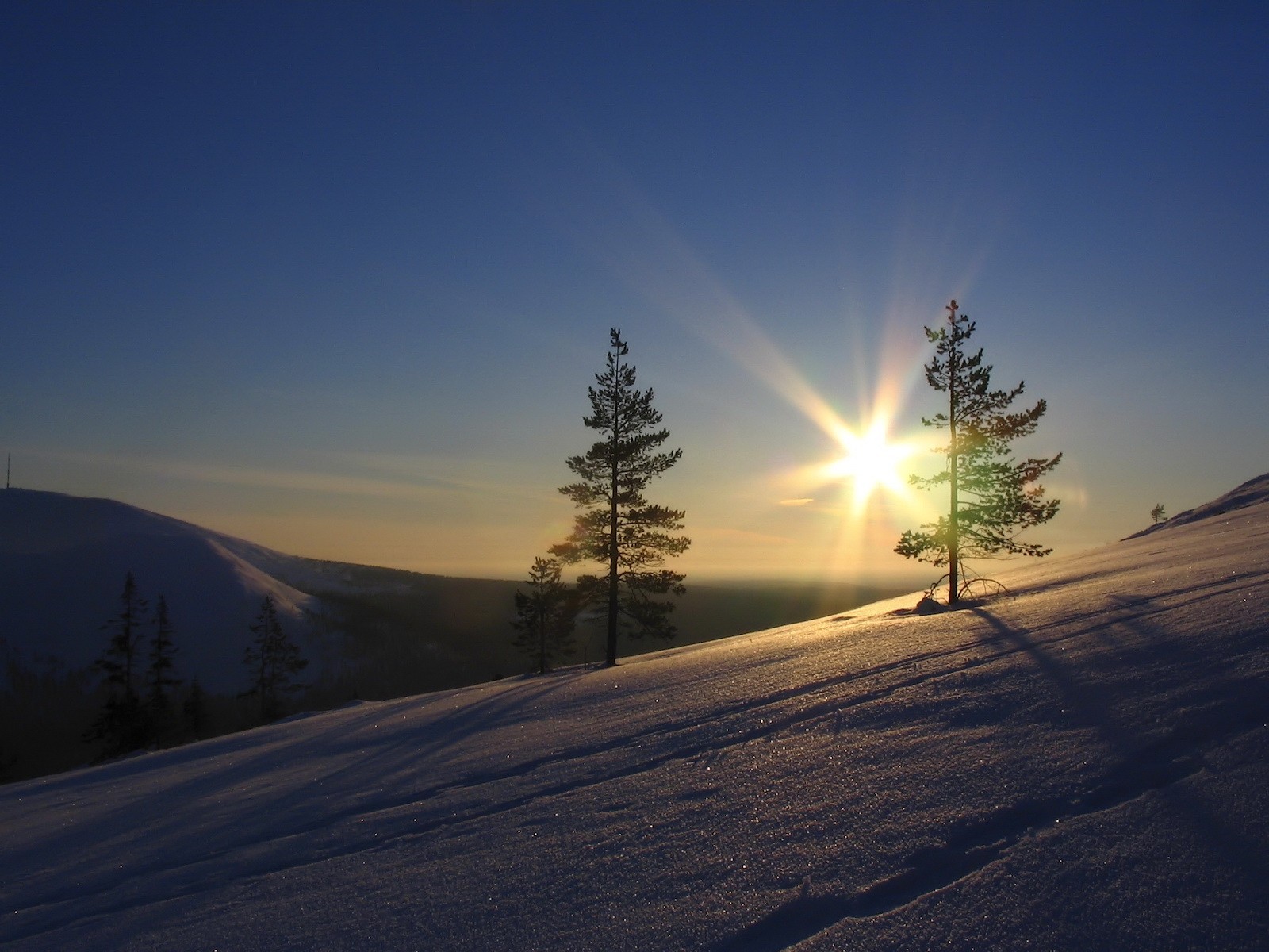 schnee bäume sonne himmel