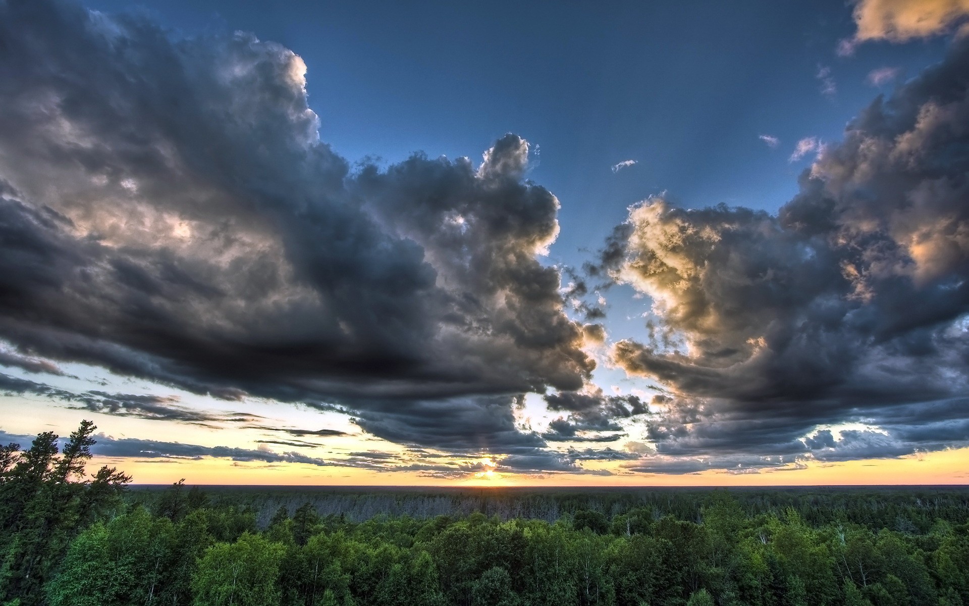 ciel nuages forêt