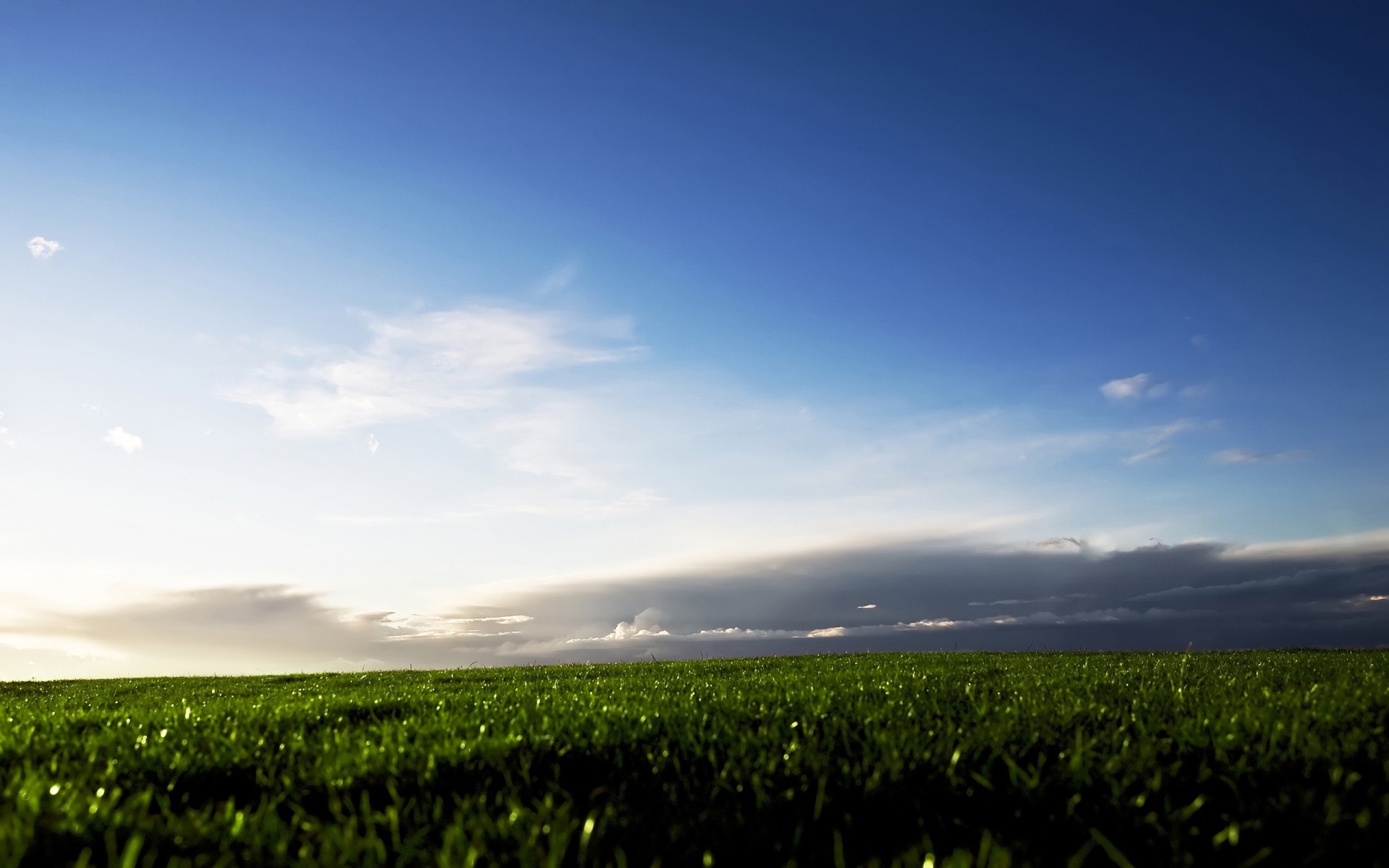 gras feld wolken himmel