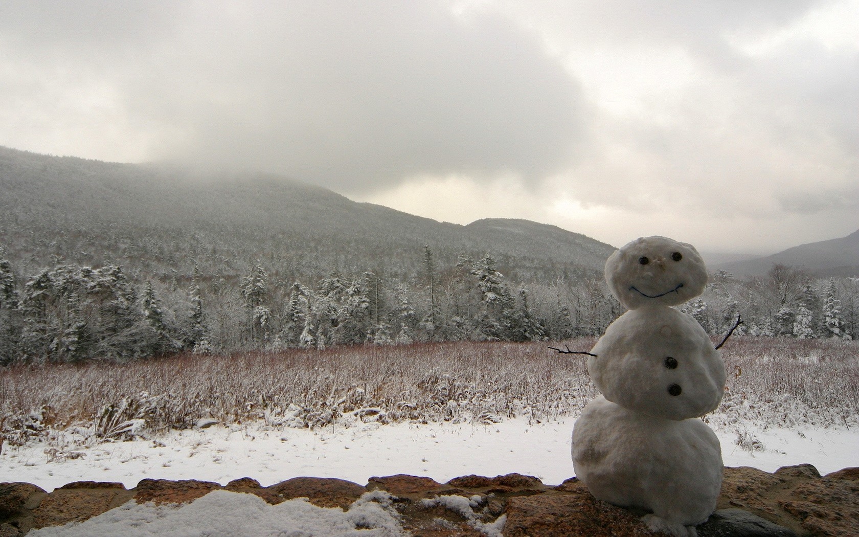 inverno pupazzo di neve