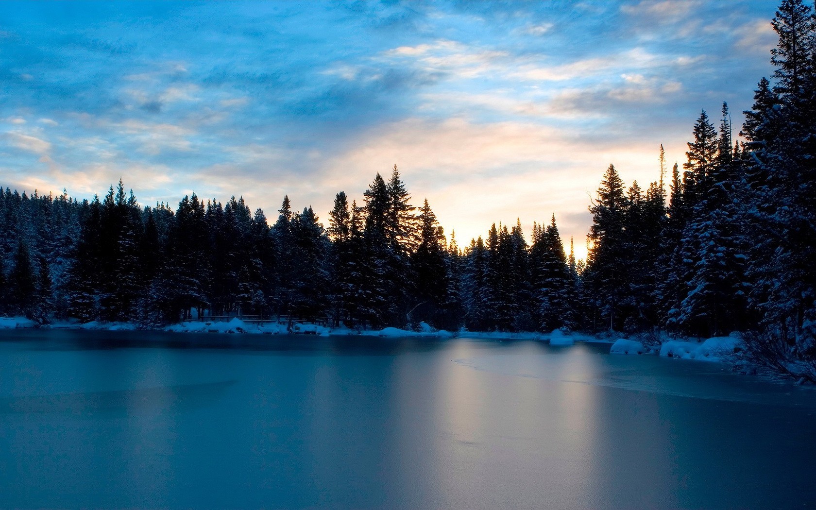 eau arbres neige hiver