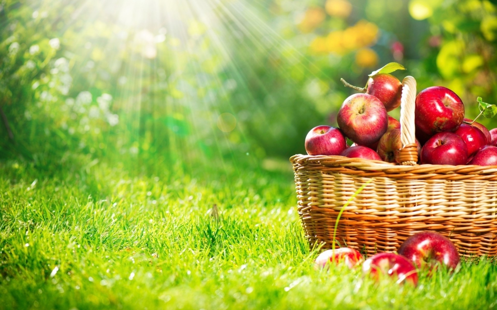 grass shopping sunlight apple