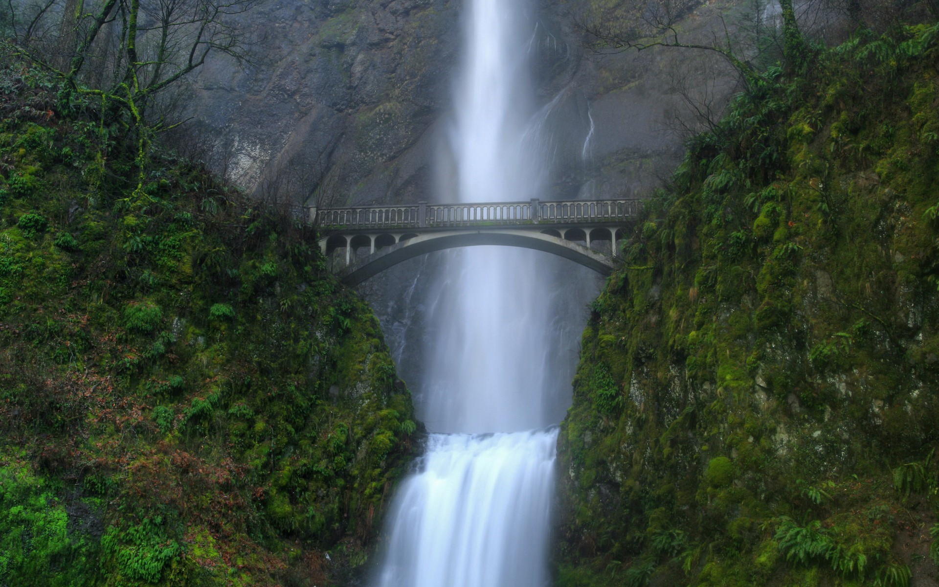 brücke wasserfall grün