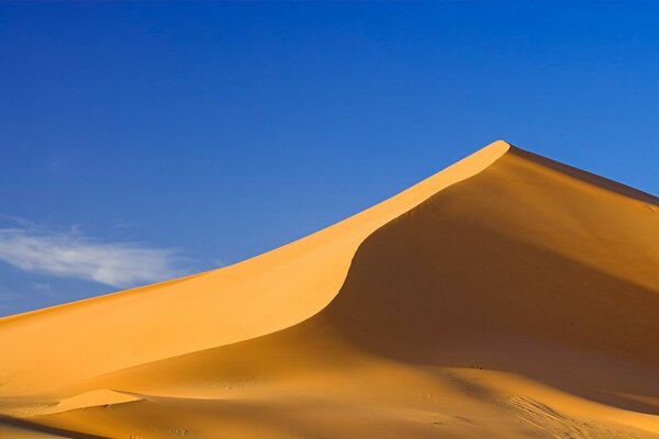 Dune deserts and yellow sand