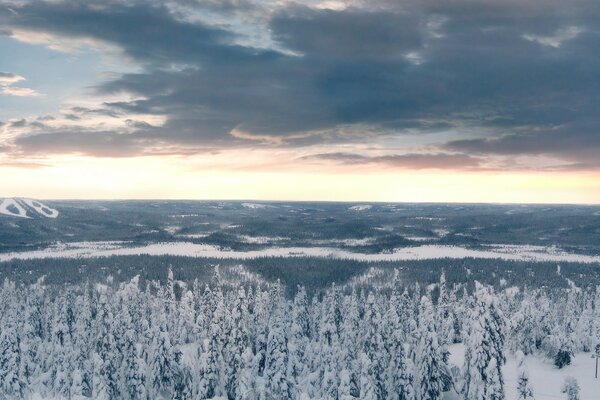 Bosque de nieve lejano con puesta de sol dorada