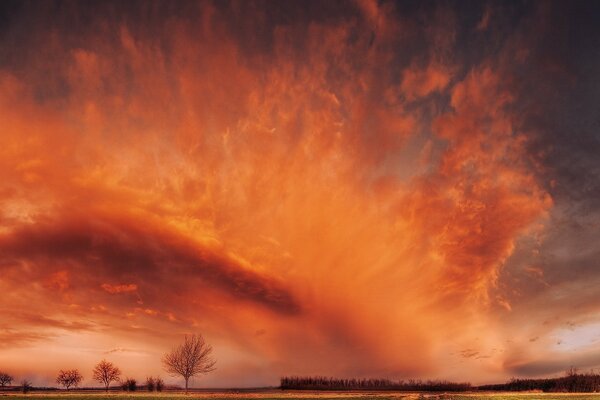 Camino que atraviesa el campo. Hermosas nubes rojas