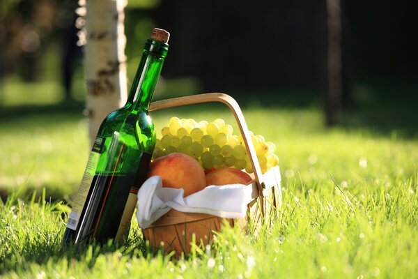 Vin et panier avec des pêches et des raisins dans l herbe au soleil