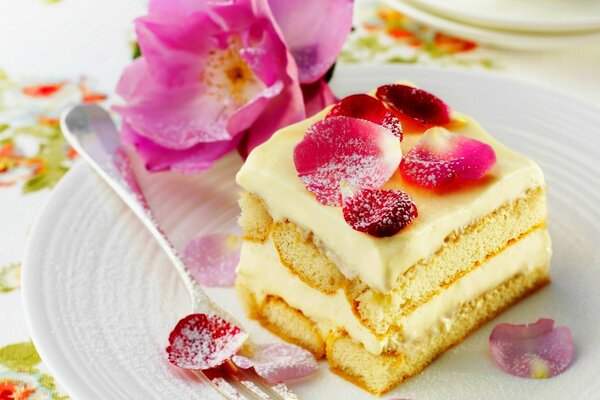 Petals lying on the table in a dessert plate