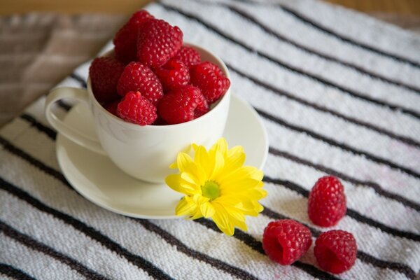 Framboises rouges dans une tasse blanche