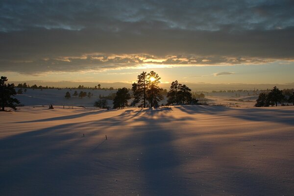 Schneebedeckte Bäume bei Sonnenuntergang im Winter