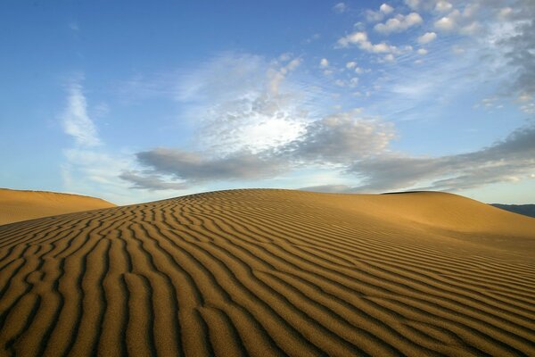 Sand waves in the desert in the evening