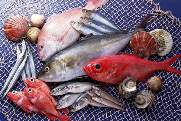 Varietà di pesce e frutti di mare sul tuo tavolo