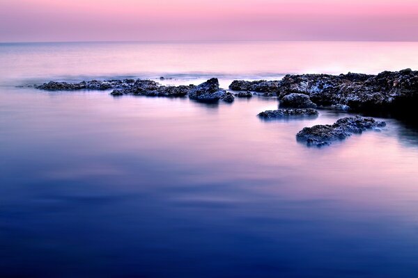 Photo horizon stones in bloom