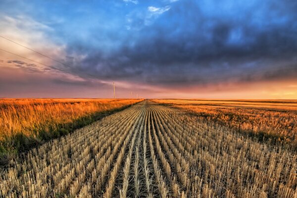 Campo raccolto al tramonto