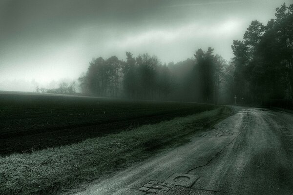 Дорога через поле и лес в тумане