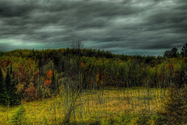 Dunkle Wolken über dem Herbstwald