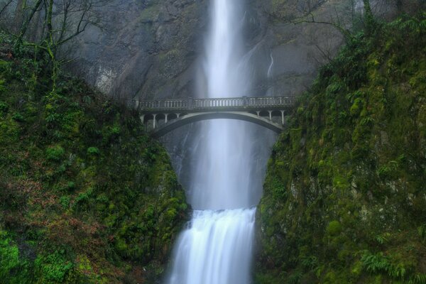 Puente sobre la cascada. Rocas verdes