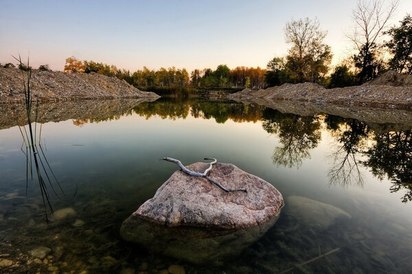 Piedra con rama en un lago transparente