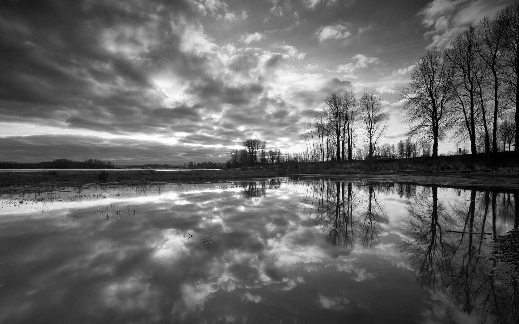 noir et blanc arbres réflexion eau