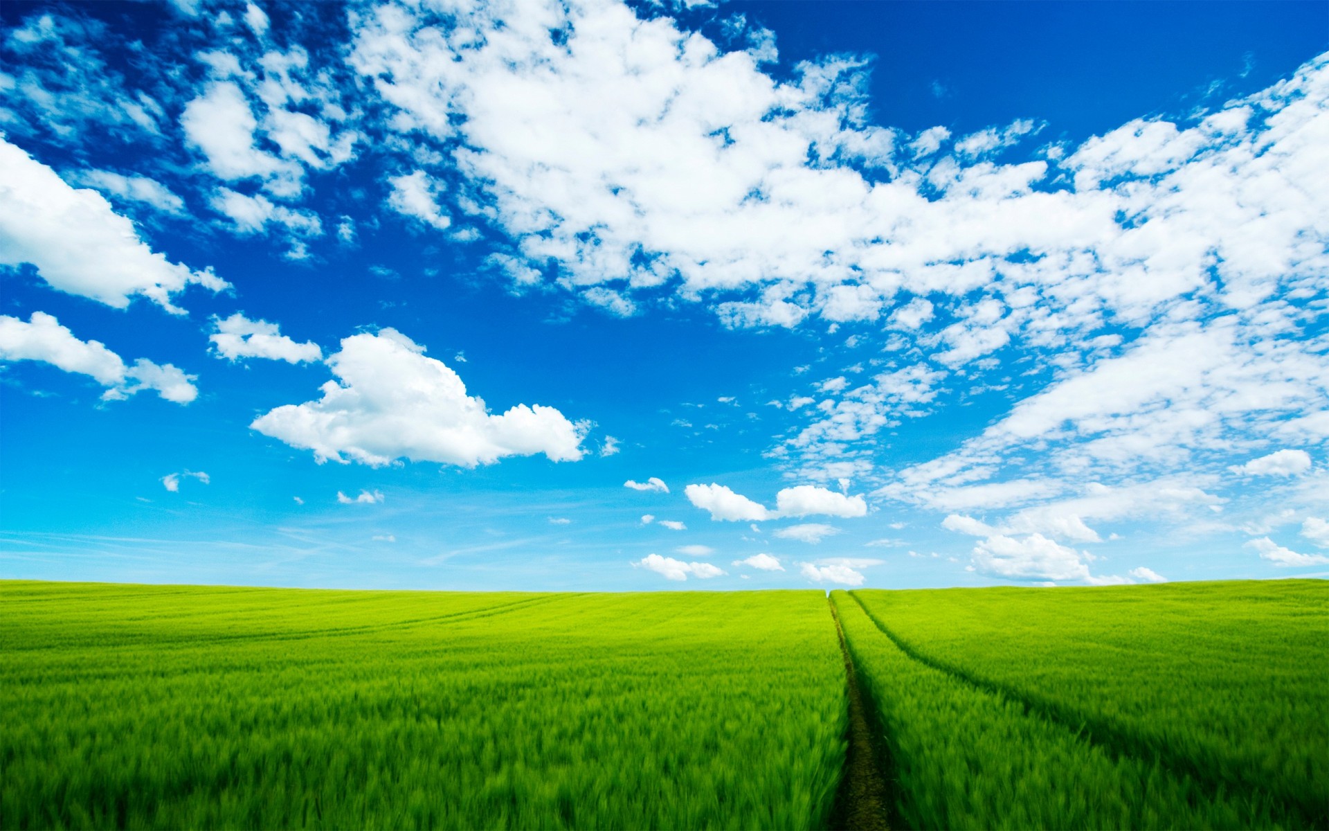 the field road clouds sky