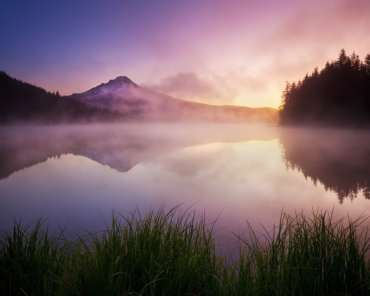 lago erba nebbia montagne