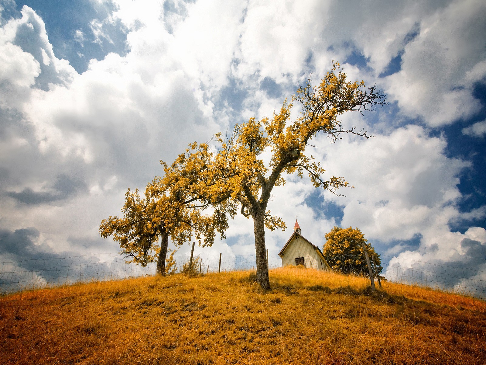 árbol nubes cielo cerca