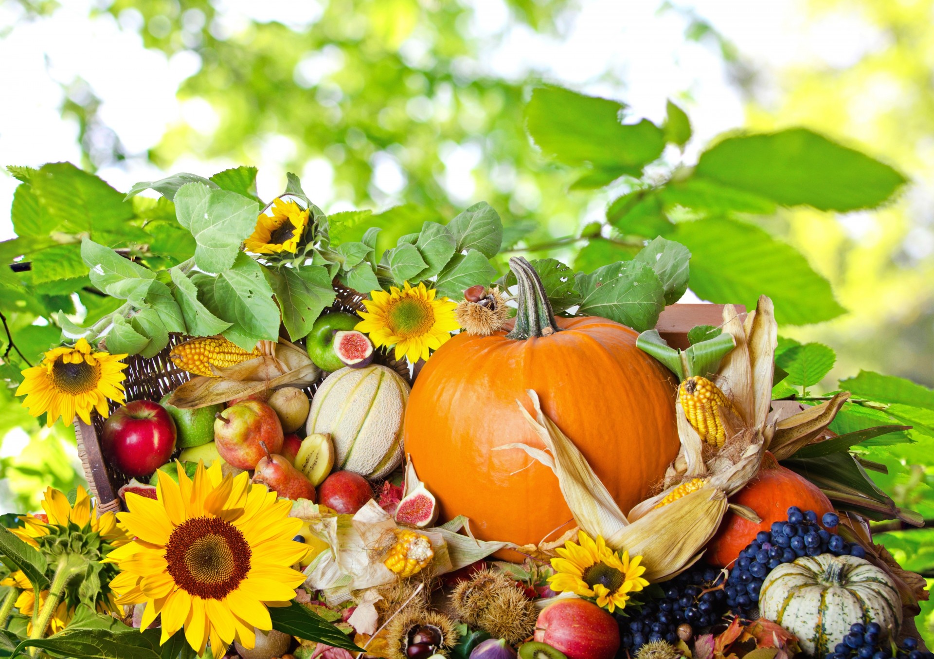 autumn composition food