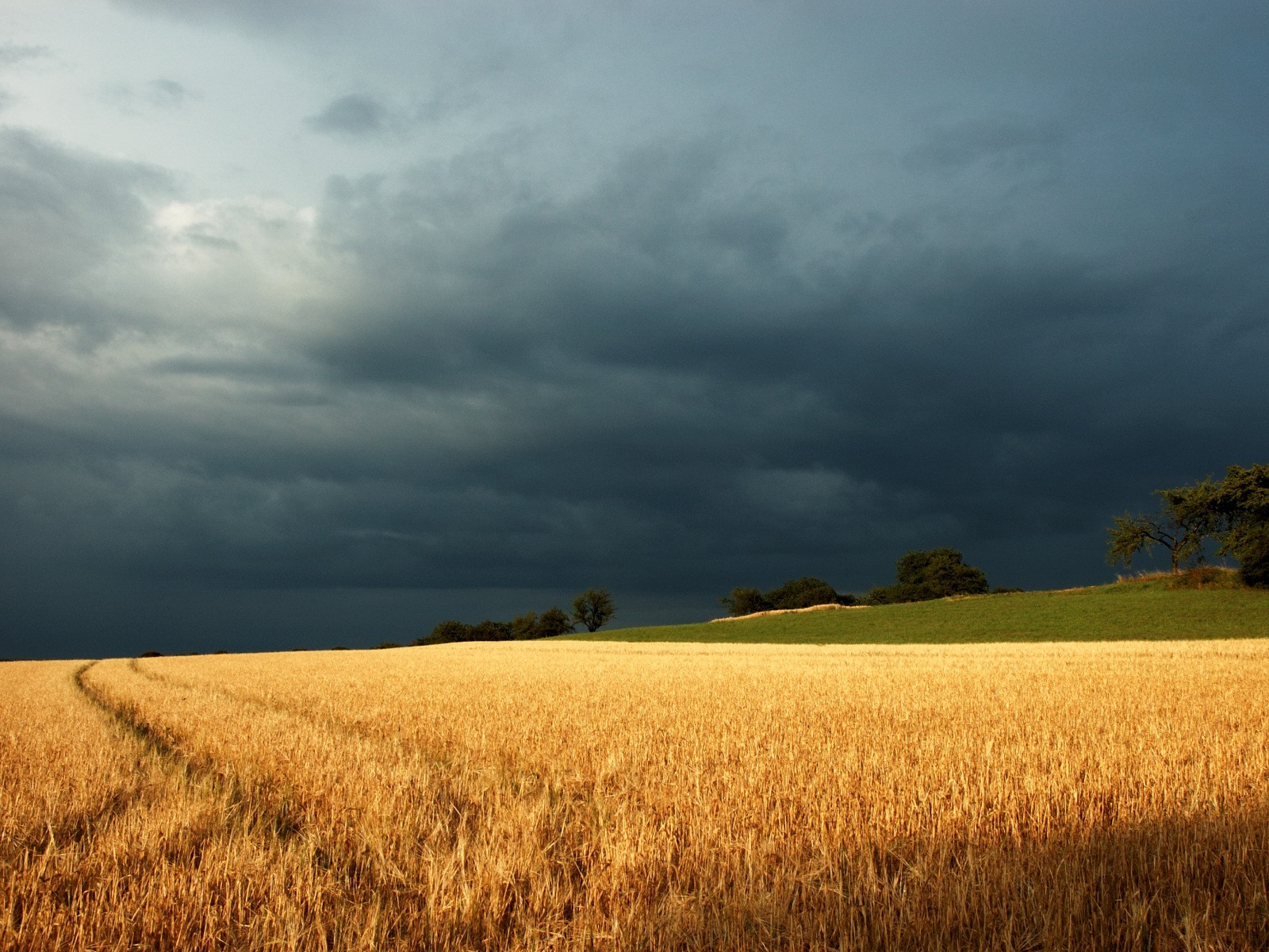 the field clouds the storm