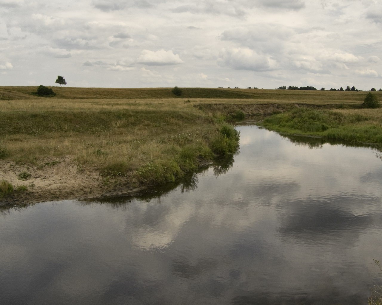 sommer natur fluss