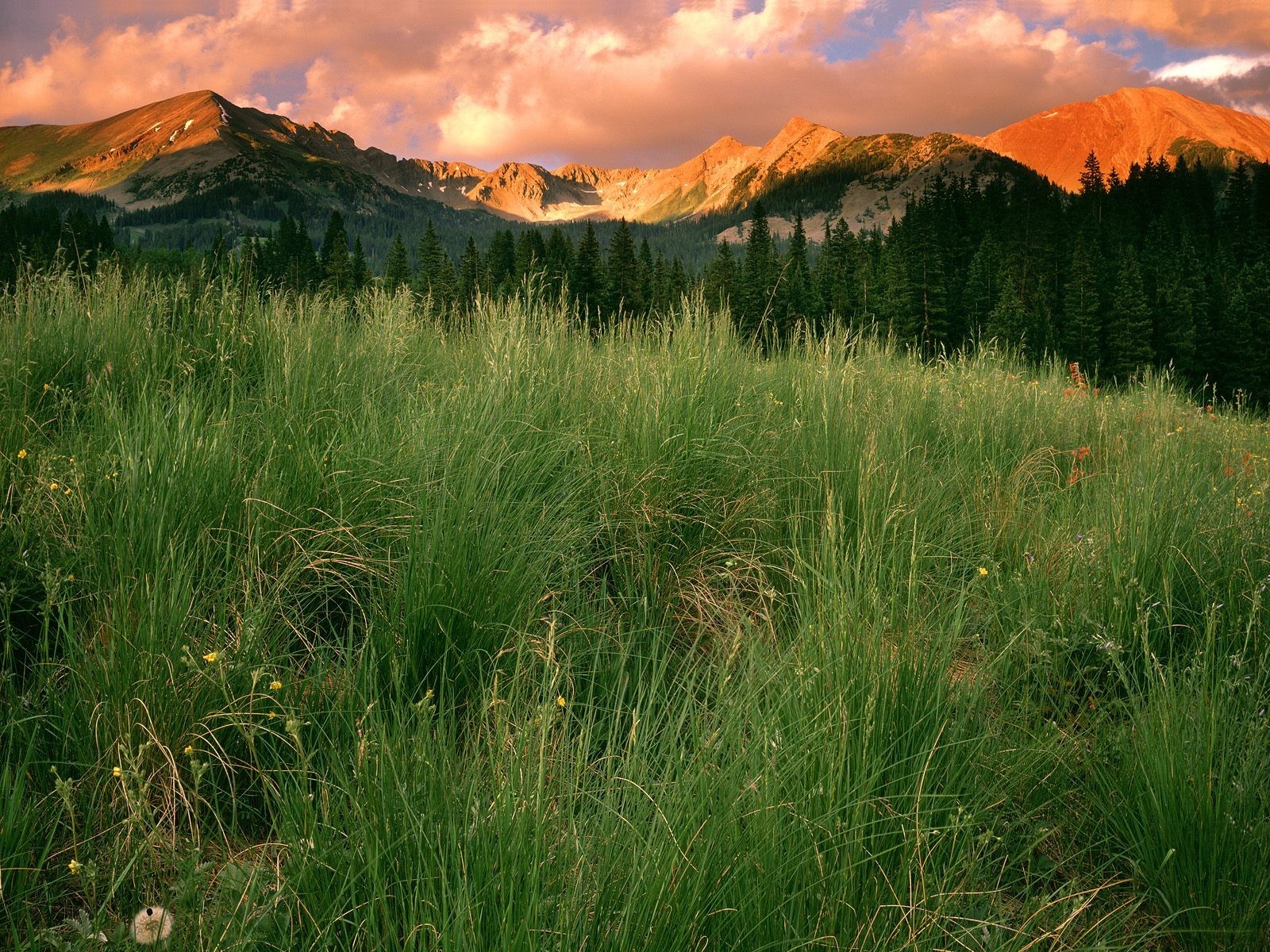 colorado parc nuages herbe montagnes