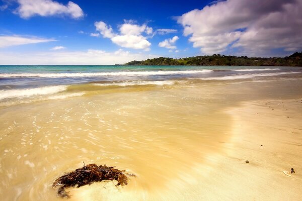 Mer, vagues et sable blanc