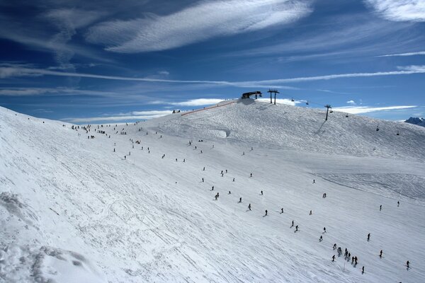 Skiers on a snowy mountain background