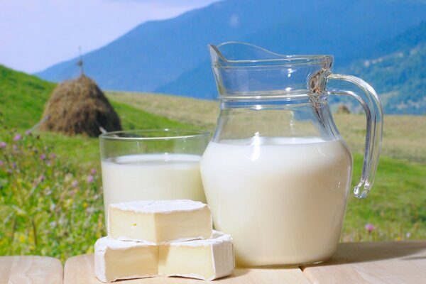 Leche en la jarra en el fondo del campo