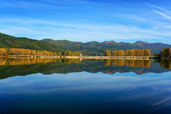 Отражение деревьев в озере