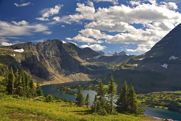 Rivière dans les montagnes avec des arbres verts et un ciel bleu