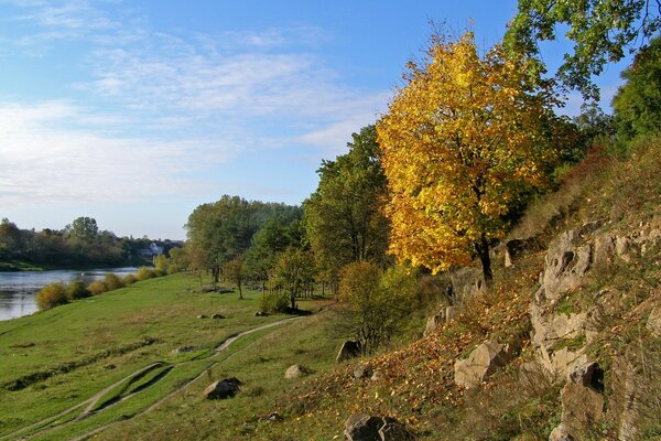 Árboles de otoño y la orilla del río