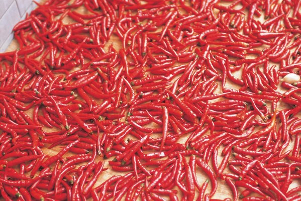 Fond de beaucoup de piments forts