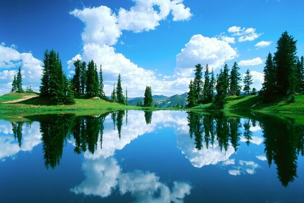 Cirrus clouds and clear water