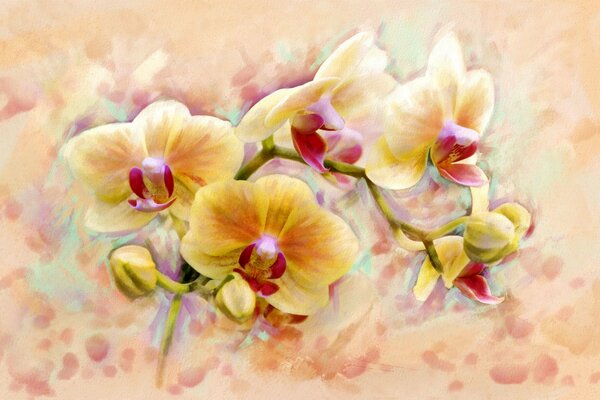 Art Fairy yellow orchid