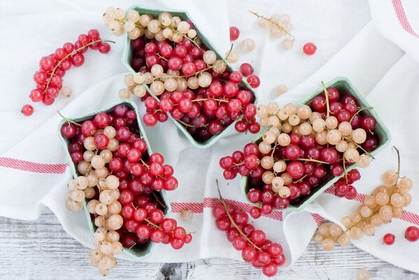 Rote Johannisbeerenbürsten