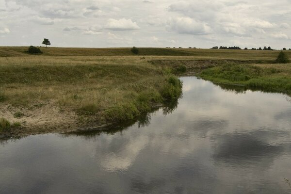 Nature d été sur la rivière