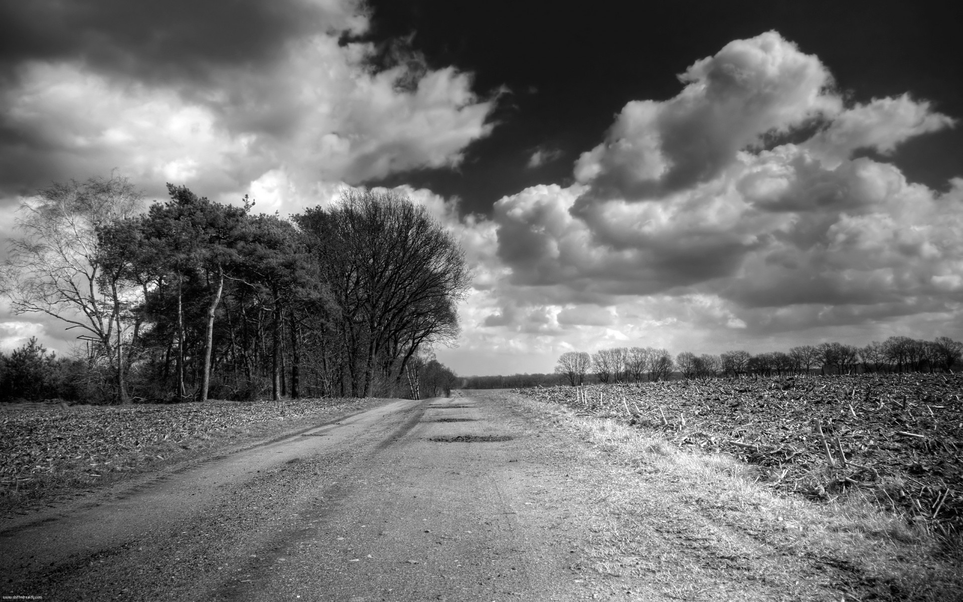 road clouds the field black and white
