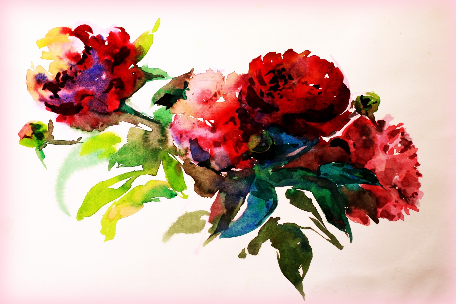 farby akwarela malarstwo kwiaty rysunek gazeta kreatywność