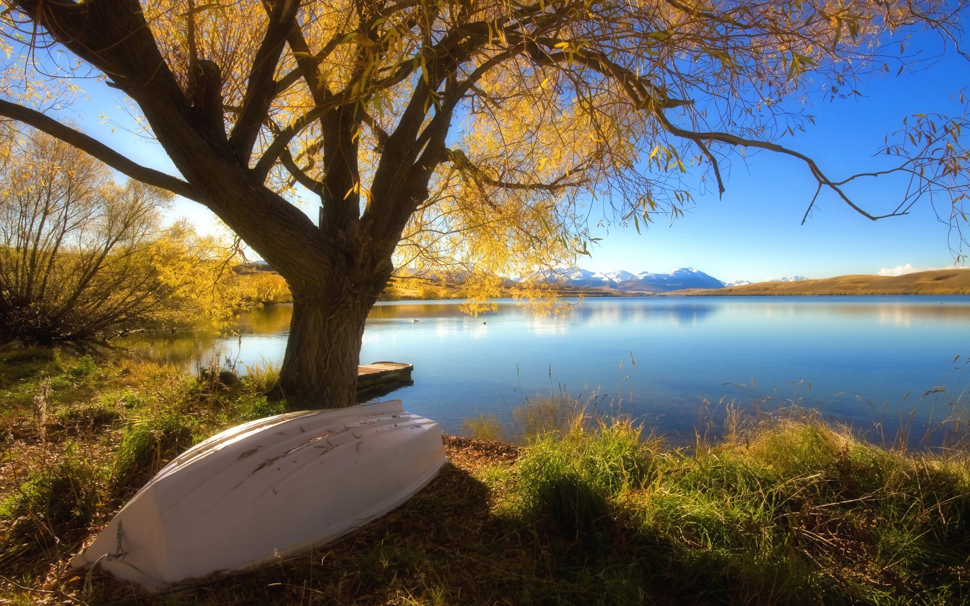 barco árbol lago otoño