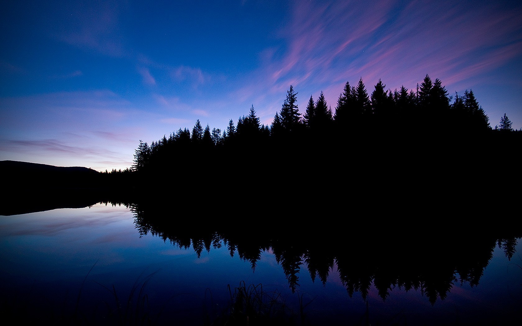 forest night lake reflection black