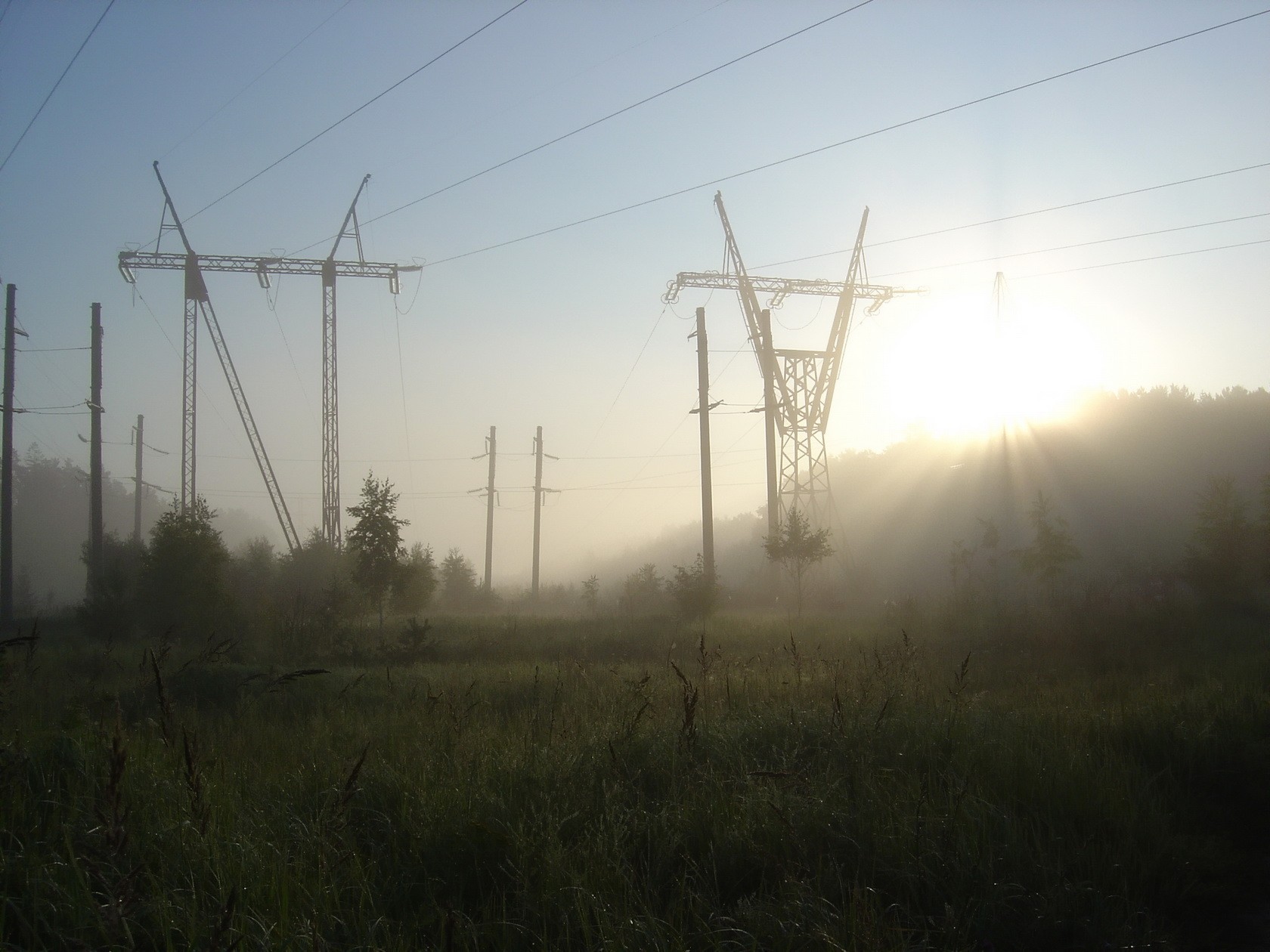 ligne électrique soleil herbe