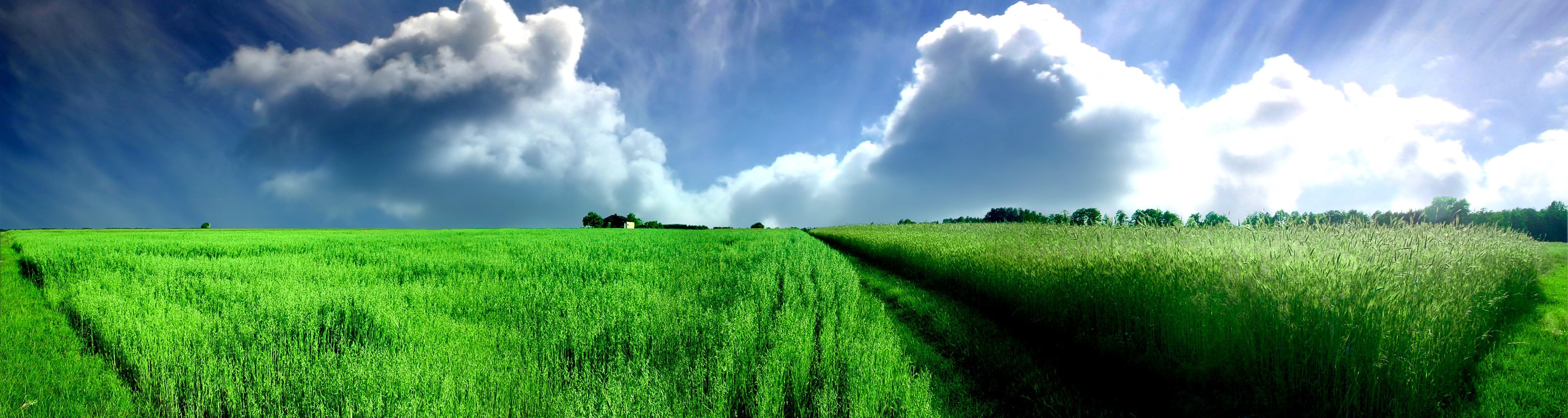 campo panorama nuvole verde