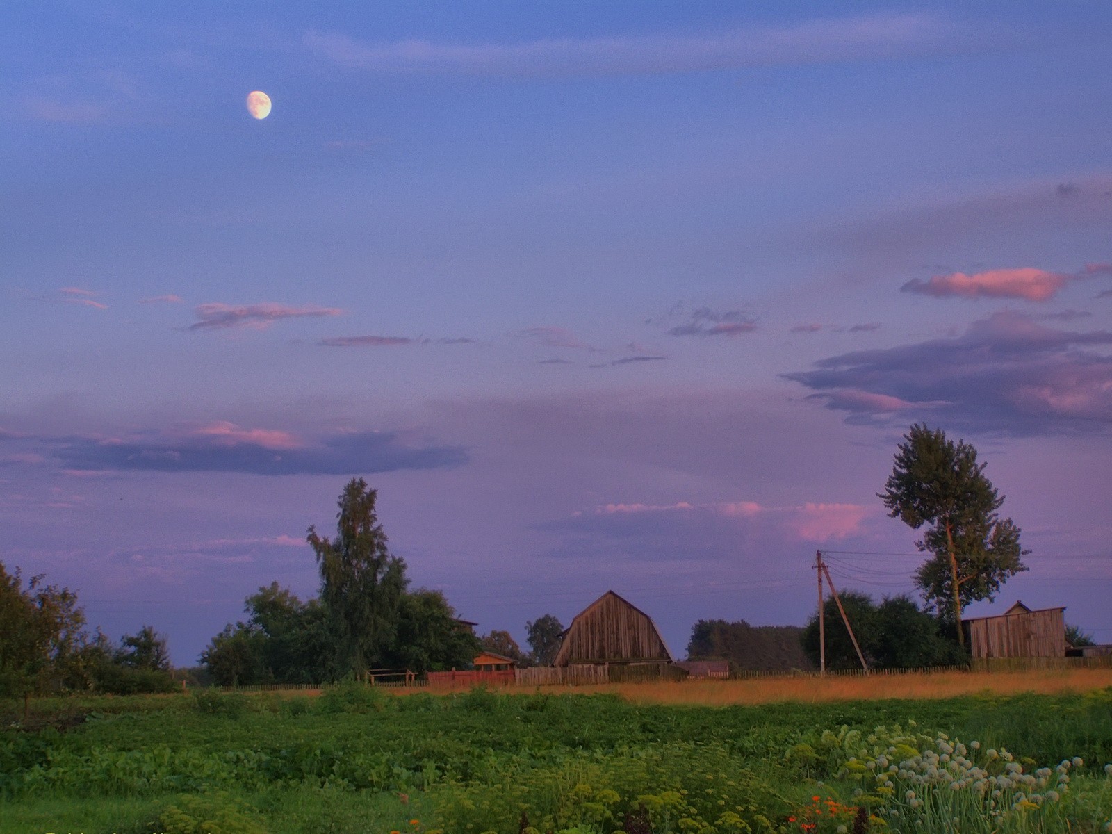 verano pueblo luna