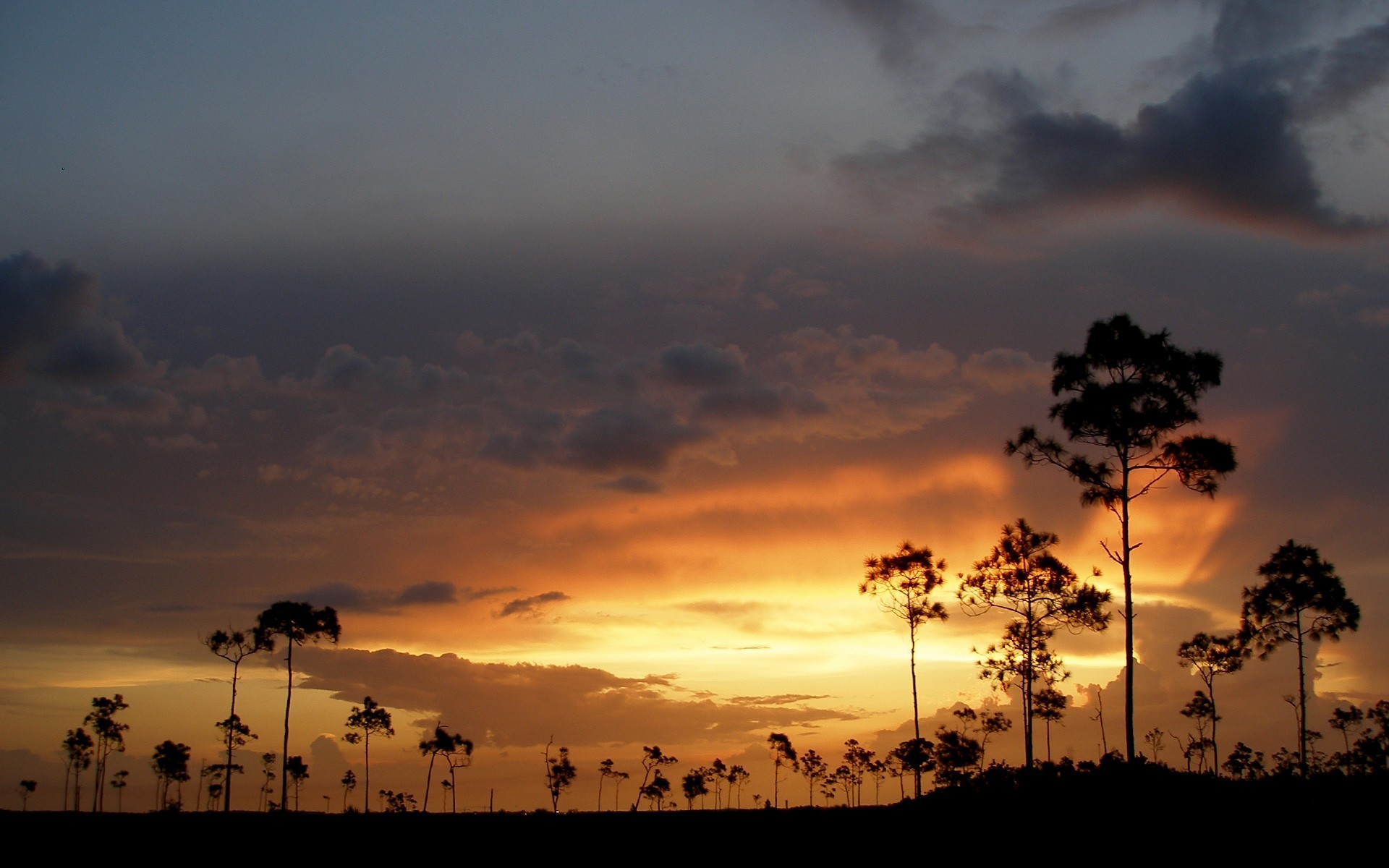 coucher de soleil arbres nuages ciel